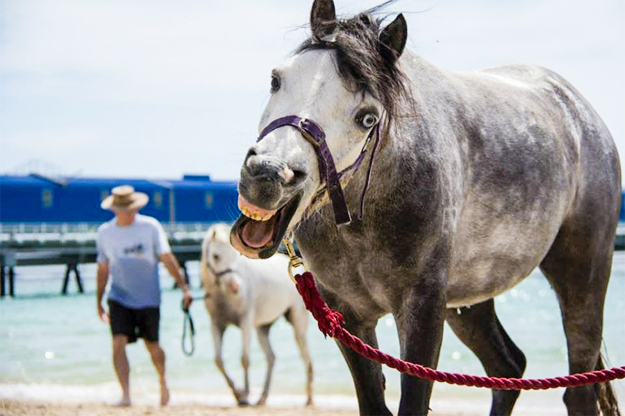 30 Hilarious Beach Photos Gone Wrong