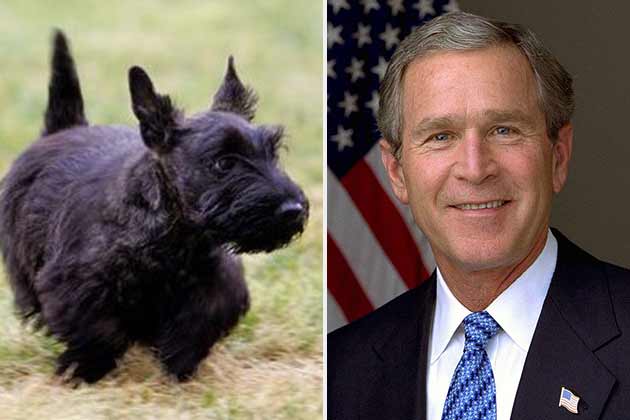 30 Bizarre Presidential Pets