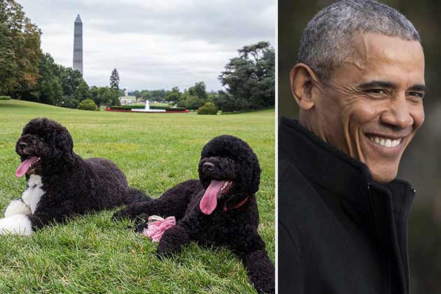 30 Bizarre Presidential Pets
