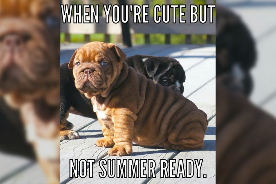 30 Memes That Totally Sum Up Swimsuit Season