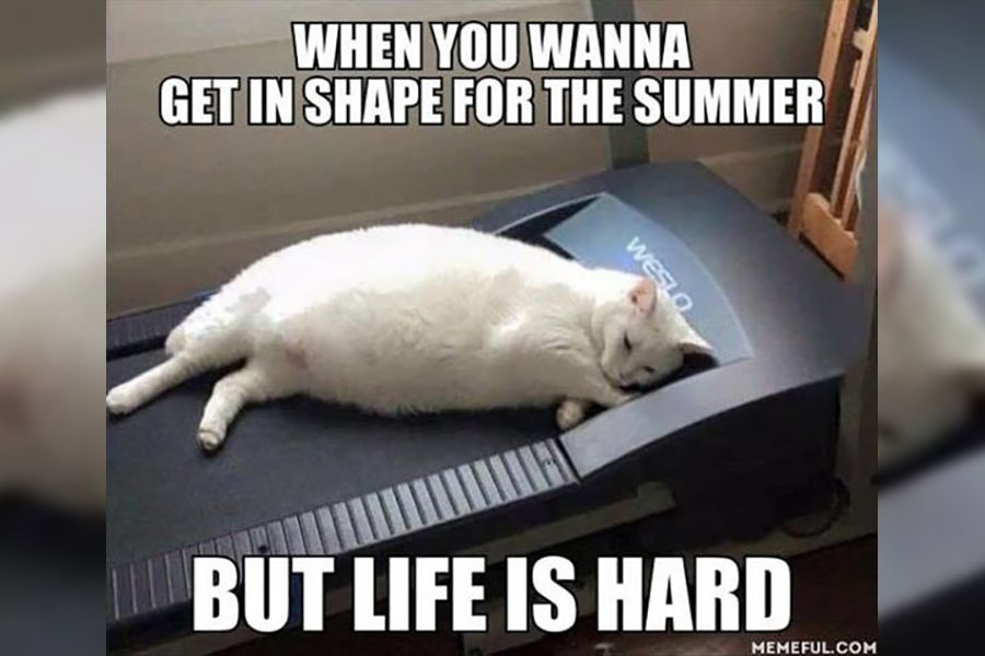 30 Memes That Totally Sum Up Swimsuit Season